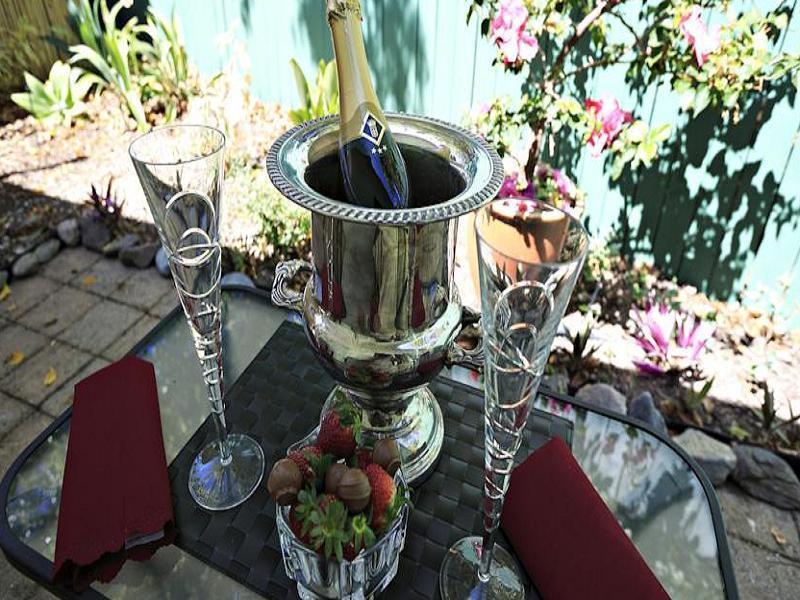 South Pacific Bed & Breakfast Clifton Beach Εξωτερικό φωτογραφία